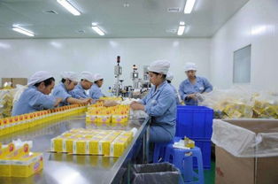 農(nóng)村小型加工廠項目有哪些